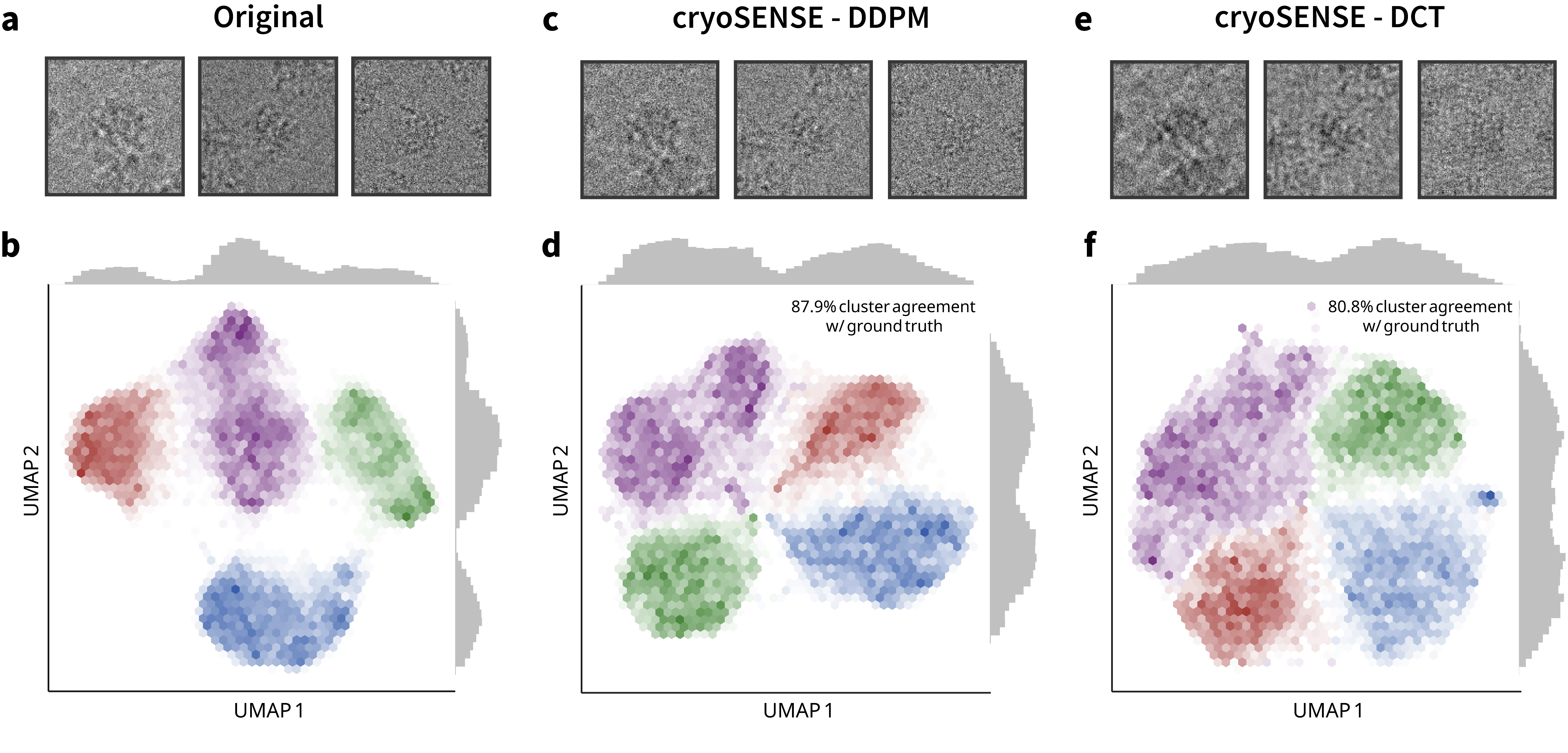 cryoSENSE Figure 3